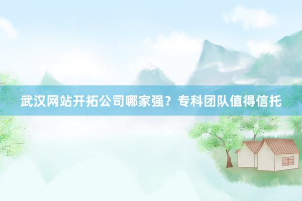 武汉网站开拓公司哪家强？专科团队值得信托