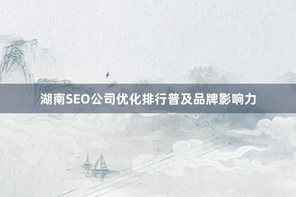 湖南SEO公司优化排行普及品牌影响力