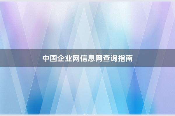 中国企业网信息网查询指南