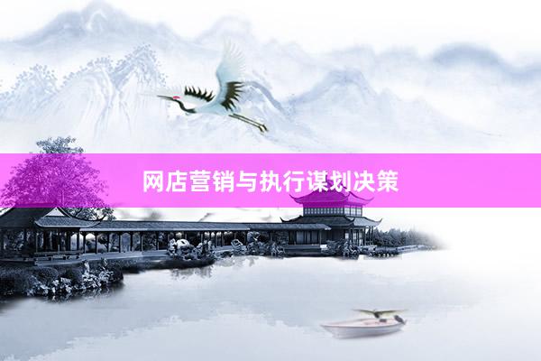 网店营销与执行谋划决策