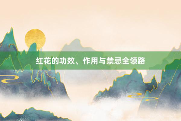 红花的功效、作用与禁忌全领路