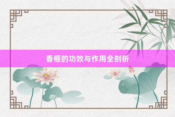 香榧的功效与作用全剖析