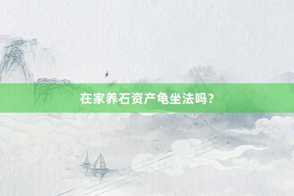 在家养石资产龟坐法吗？